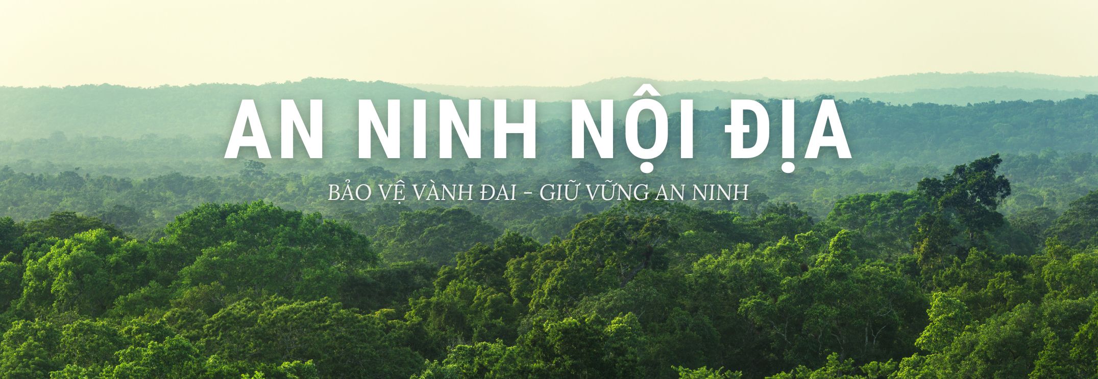 Giải pháp An ninh nội địa
