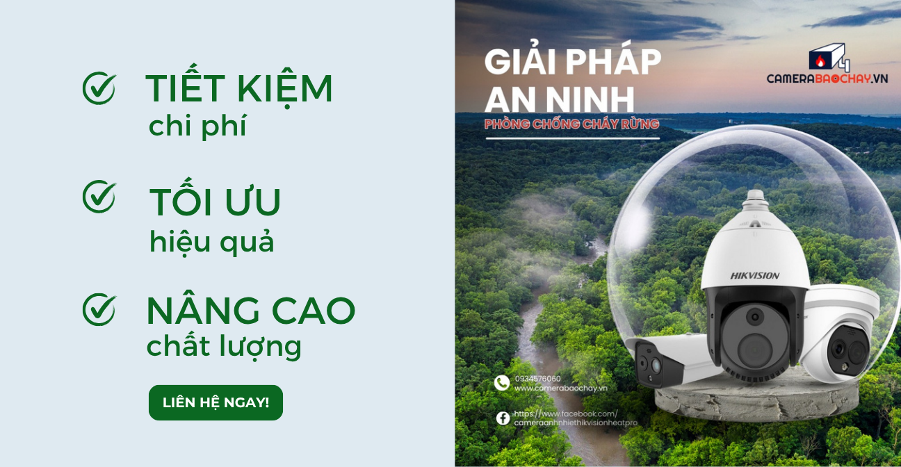 Giải pháp An ninh nội địa