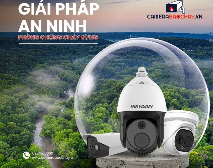 Giám sát khu vực vành đai